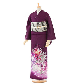 色留袖 No.DA-0108-Lサイズ