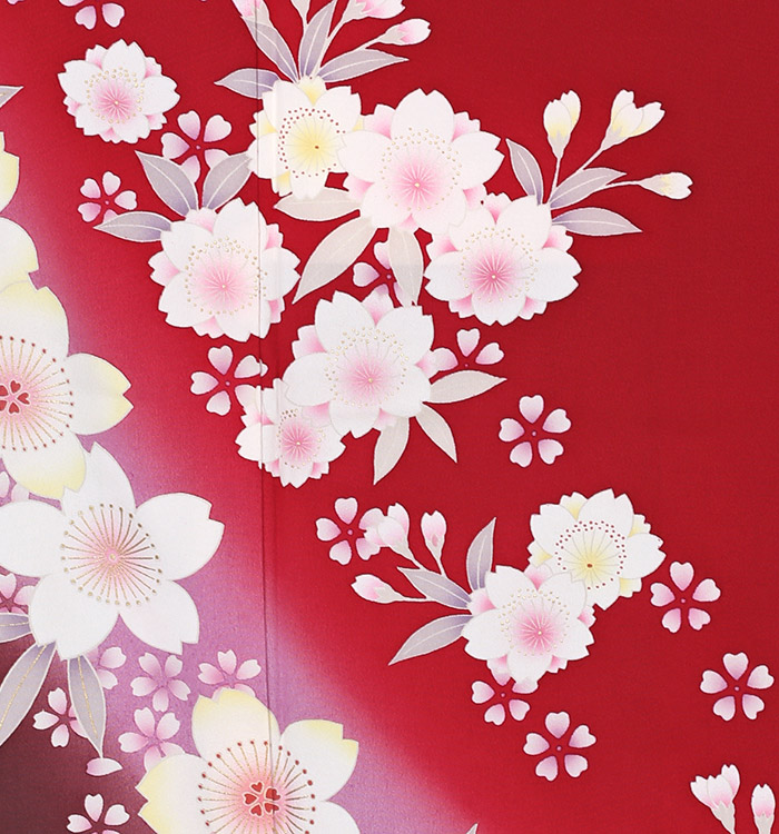 振袖（専用襦袢付）No.EA-0413-Lサイズ_05