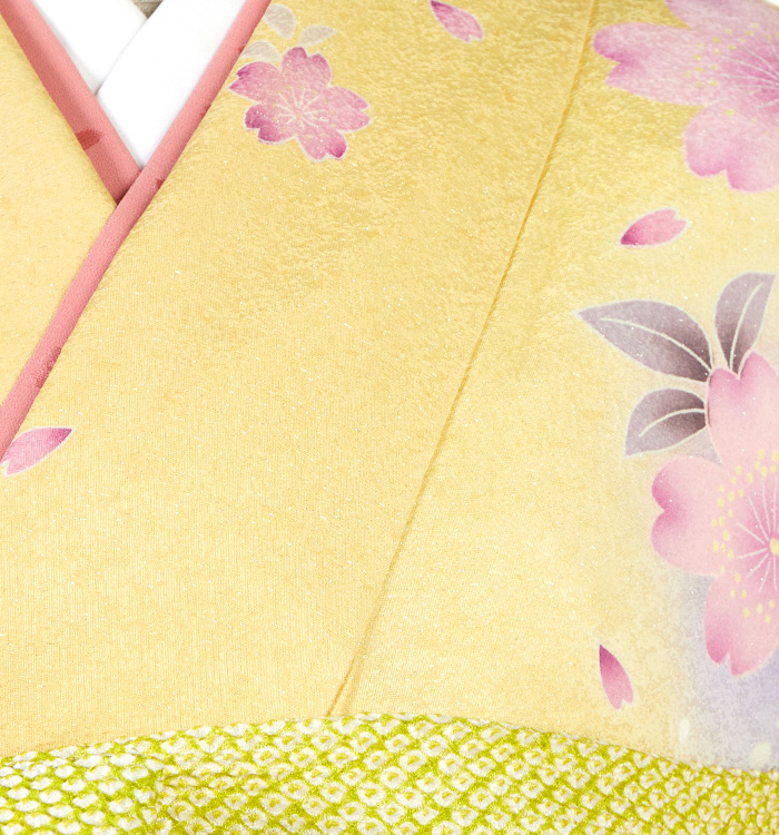 振袖 No.EA-0457-Mサイズのレンタル｜きもの365