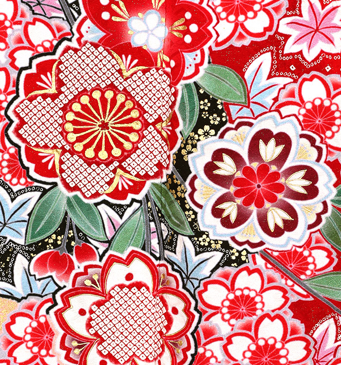 PRINCESS FURISODE 振袖 No.EA-0817-Lサイズ_05