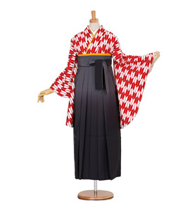 卒業袴 No.FE-0005-Lサイズ