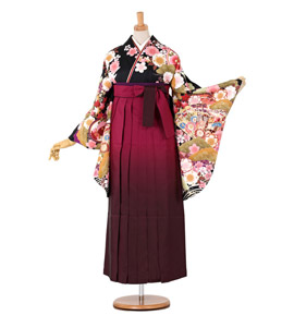 卒業袴 No.FE-0012-S/M/L/2L/3Lサイズ