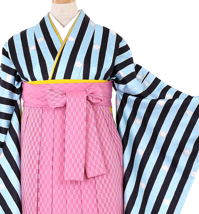 卒業袴 No.FE-0097-Lサイズ_01