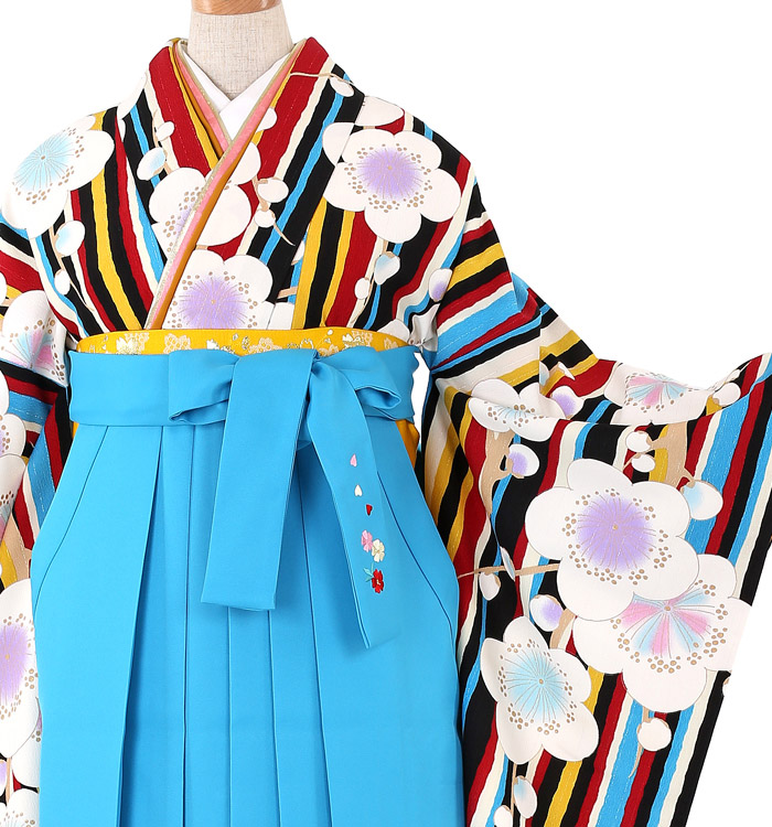 JAPAN STYLE 卒業袴 No.FE-0139-S/M/L/2L/3Lサイズ_01