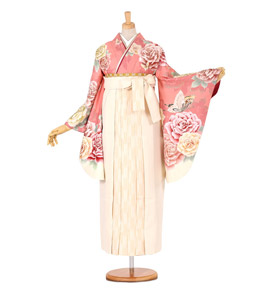 渡辺麻友 卒業袴 No.FE-0150-Mサイズ