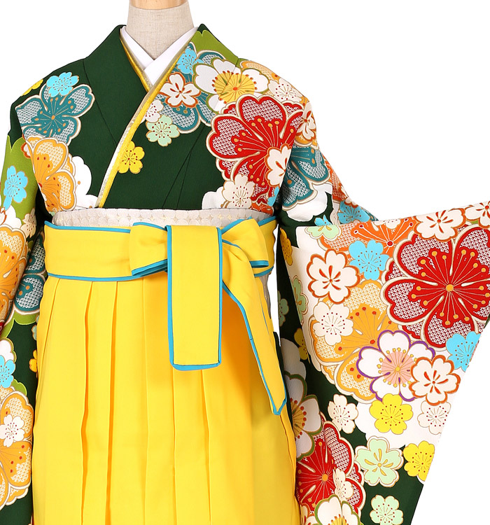 藤田ニコル 卒業袴 No.FE-0161-L/2Lサイズ_01