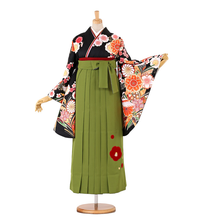 卒業袴 No.FE-0192-Lサイズ