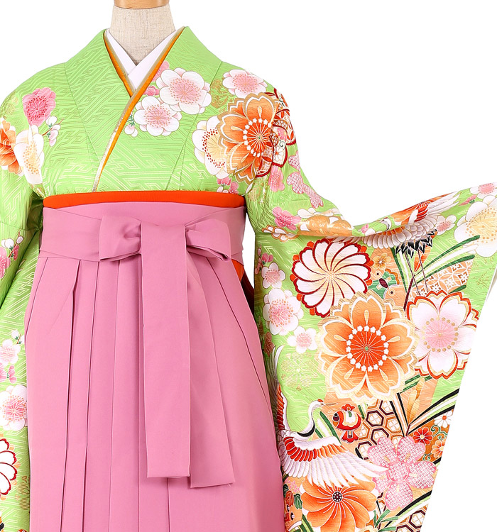 卒業袴 No.FE-0193-L/2L/3Lサイズ_01