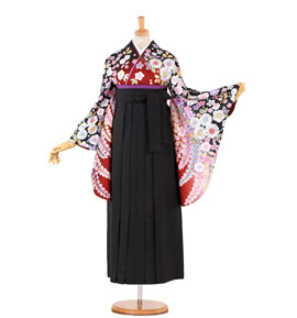 卒業袴 No.FE-0205-Mサイズ