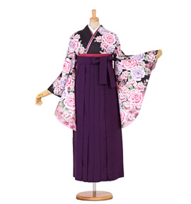 卒業袴 No.FE-0228-Mサイズ