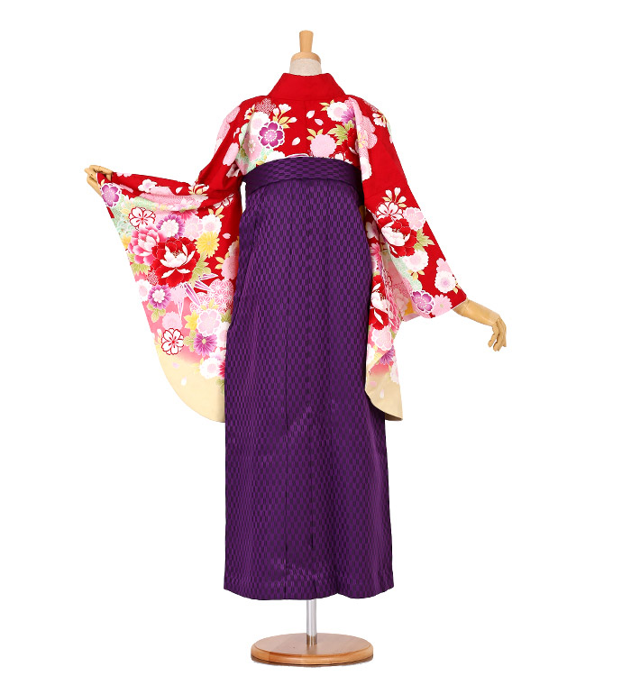 卒業袴 No.FE-0229-2L/3Lサイズ_02