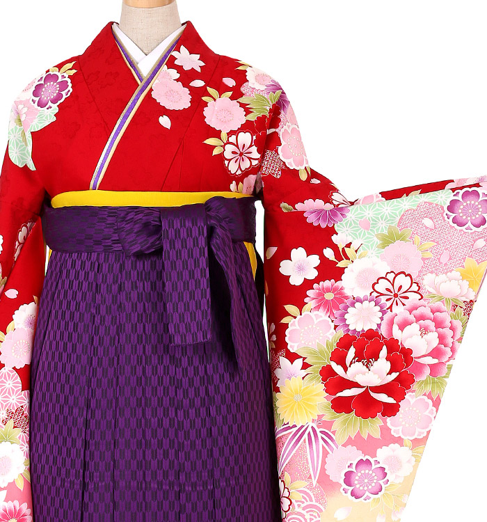 卒業袴 No.FE-0229-2L/3Lサイズ_01