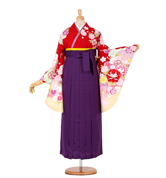 卒業袴 No.FE-0229-2L/3Lサイズ