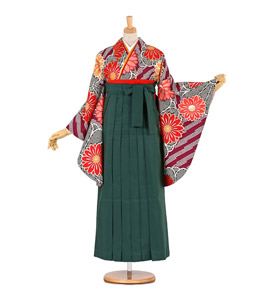 卒業袴 No.FE-0248-Mサイズ