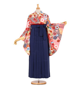 卒業袴 No.FE-0249-Lサイズ