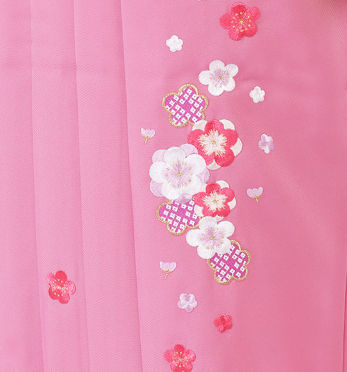 卒業袴 No.FE-0250-S/M/Lサイズ_03