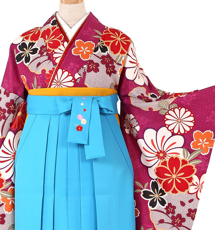 卒業袴 No.FE-0257-2L/3Lサイズ_01