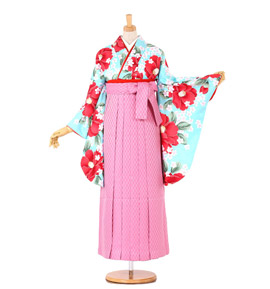 卒業袴 No.FE-0259-L/2L/3Lサイズ