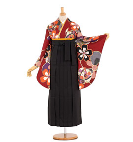 卒業袴 No.FE-0286-Mサイズ