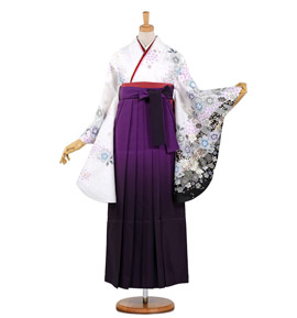 卒業袴 No.FE-0326-Lサイズ