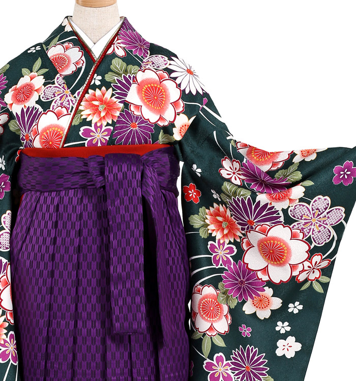 卒業袴 No.FE-0355-2L/3Lサイズ_01