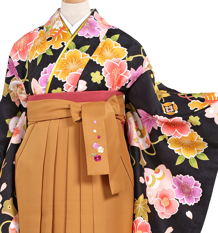 卒業袴 No.FE-0363-Lサイズ_01