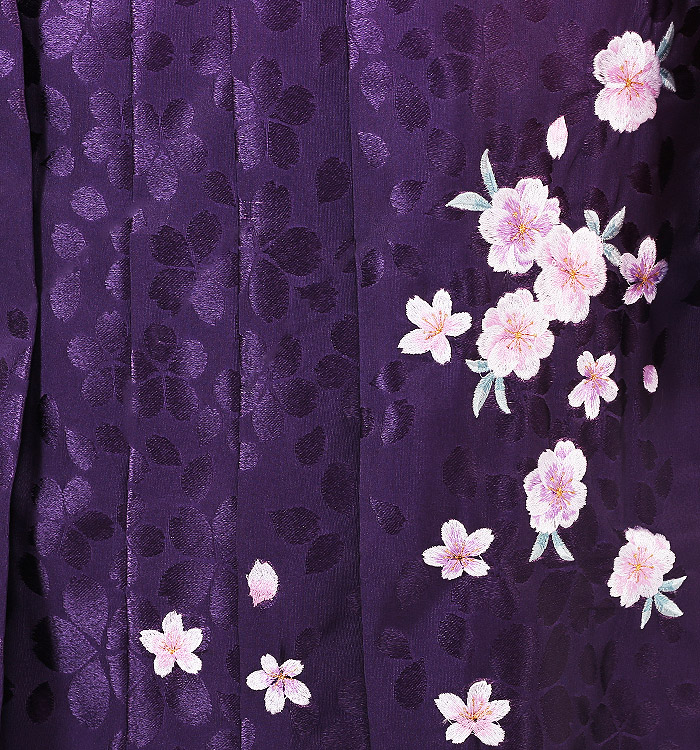 卒業袴 No.FE-0378-Lサイズ_03