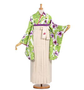 卒業袴 No.FE-0449-2Lサイズ