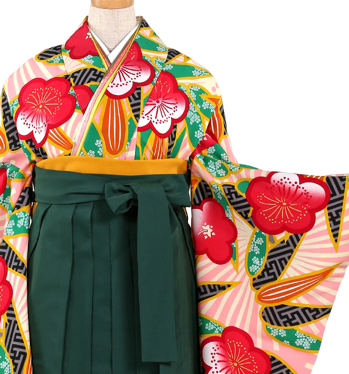 卒業袴 No.FE-0482-Lサイズ_01