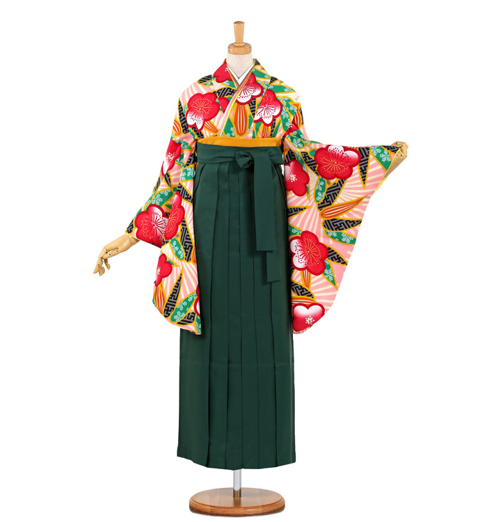 卒業袴 No.FE-0482-Lサイズ