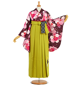 卒業式・入学式・卒園式・入園式に人気の卒業袴レンタル｜格安の着物