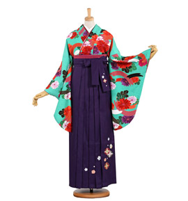 卒業袴 No.FE-0489-2Lサイズ