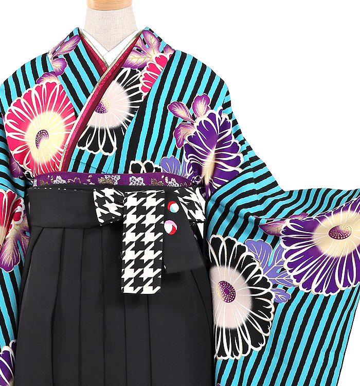 紅一点 卒業袴 No.FE-0520-2Lサイズ_01