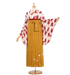 卒業袴 No.FE-0582-Lサイズ