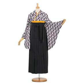 卒業袴 No.FE-0595-Lサイズ