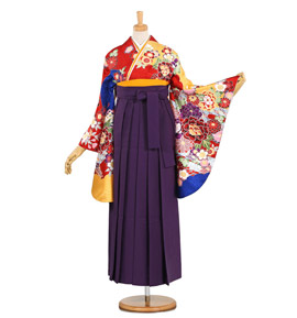 卒業袴 No.FE-0633-Lサイズ