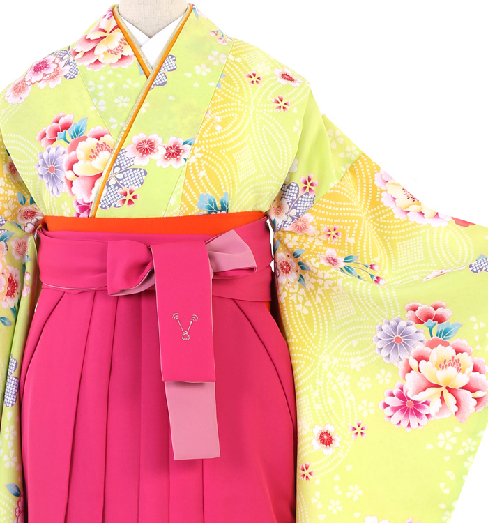 卒業袴 No.FE-0655-Lサイズ_01