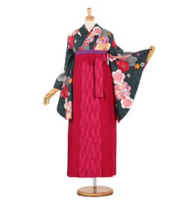 卒業袴 No.FE-0665-Lサイズ