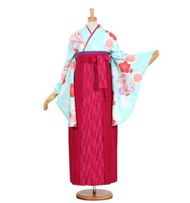 卒業袴 No.FE-0669-2Lサイズ