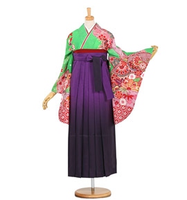 卒業袴 No.FE-0681-Lサイズ