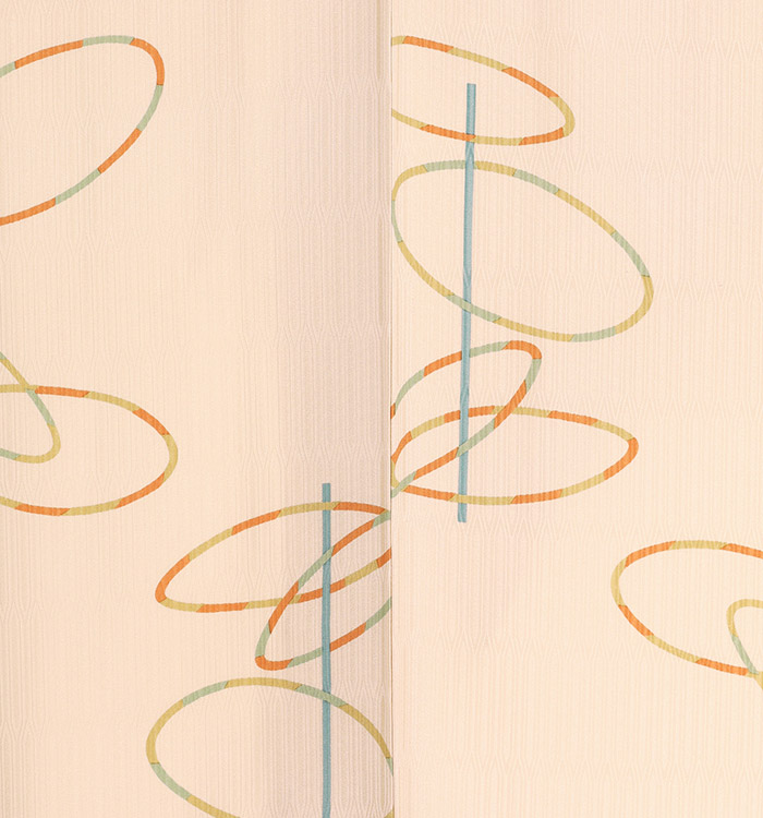 小紋 No.IA-0016-Mサイズ_05