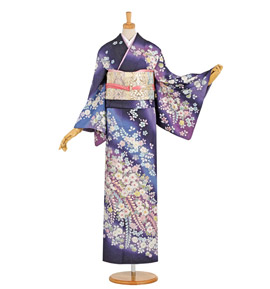 訪問着の人気・おすすめ商品一覧｜着物レンタル・通販【きもの365】