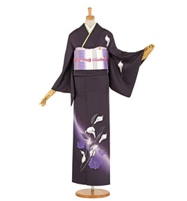 Adam&Eve 訪問着 No.AA-1719-Mサイズ