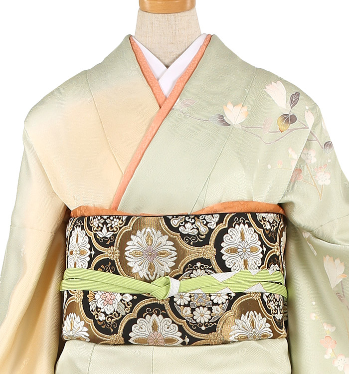 【帯・逸品】訪問着 No.AA-1722-Lサイズ_01