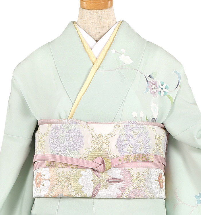 【帯・逸品】訪問着 No.AA-1749-Mサイズ_01