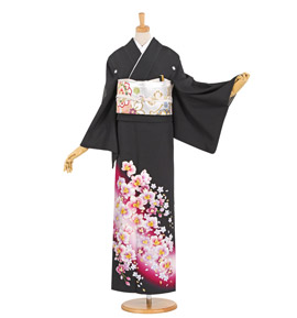留袖の人気・おすすめ商品一覧｜着物レンタル・通販【きもの365】