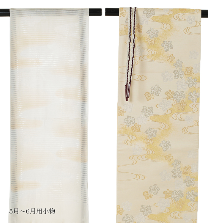 単衣(ひとえ)訪問着 No.AC-0320-Lサイズ_06