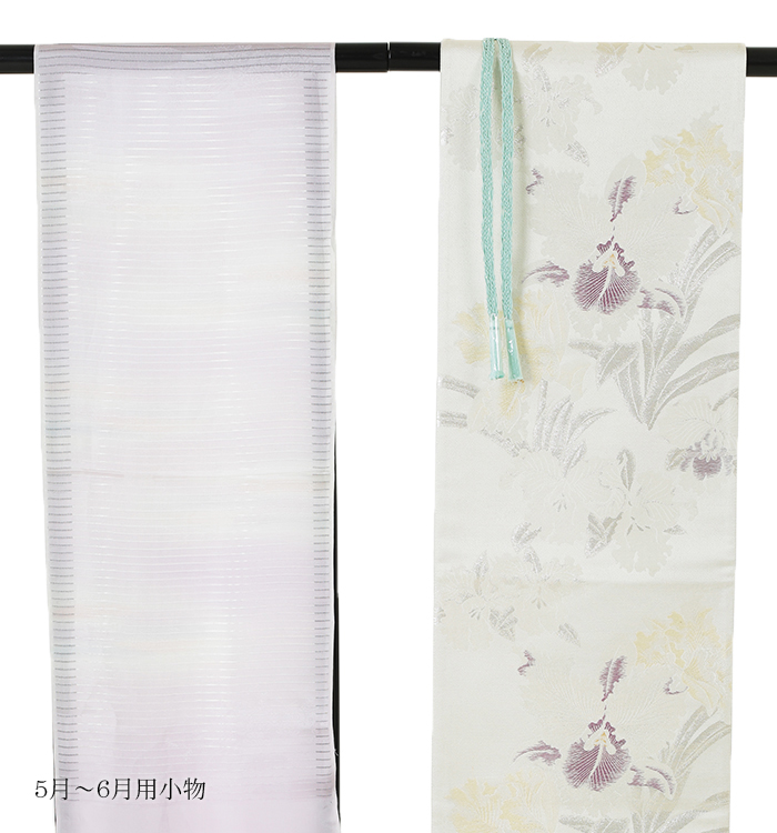 単衣(ひとえ)訪問着 No.AC-0311-Lサイズ_06