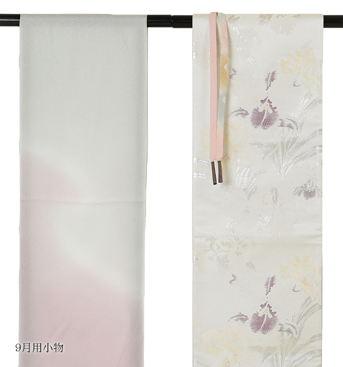 単衣(ひとえ)訪問着 No.AC-0311-Lサイズ_07