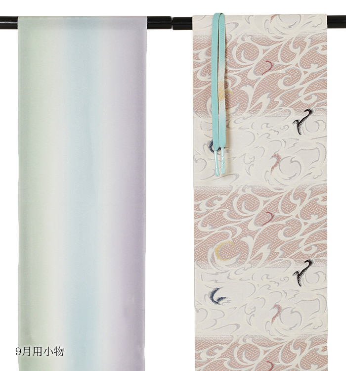 単衣(ひとえ)訪問着 No.AC-0314-Lサイズ_07